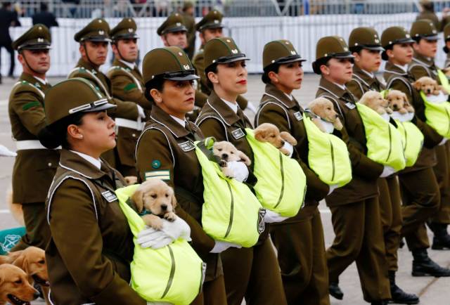 daily picdump 100 pics 40.html - 100 HD Photos | Premium Gallery 2018
