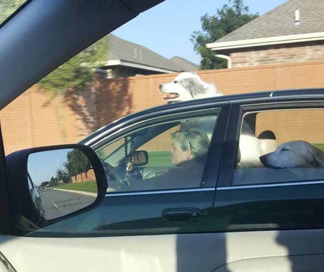 daily picdump 100 pics 40.html - 100 HD Photos | Premium Gallery 2018