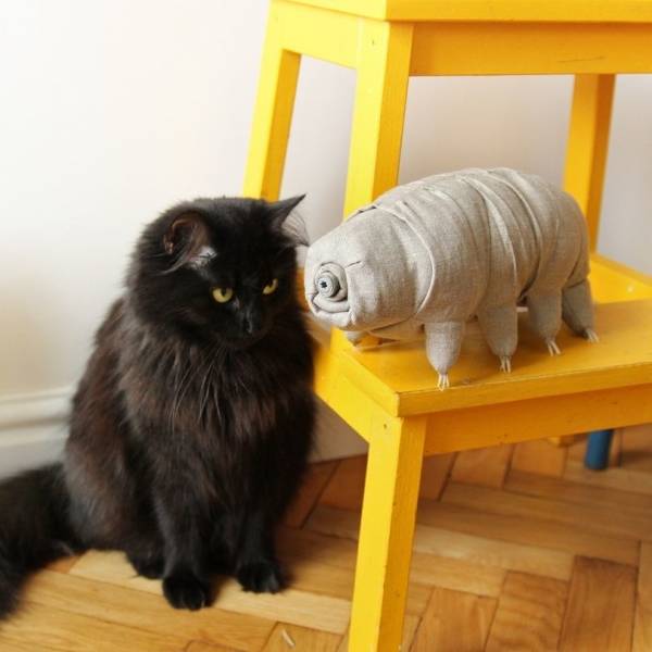 daily picdump 100 pics 40.html - 100 HD Photos | Premium Gallery 2018