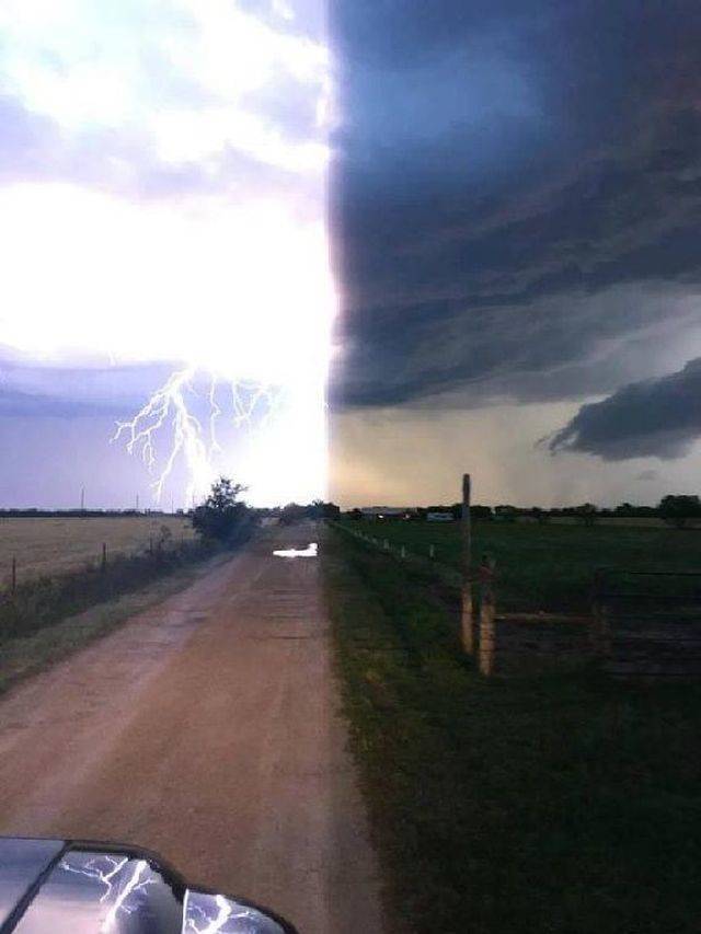 Daily Picdump