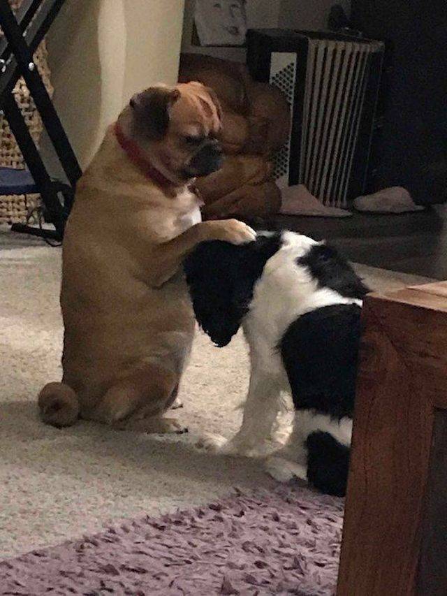 daily picdump 100 pics 40.html - 100 HD Photos | Premium Gallery 2018