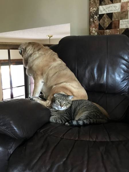 morning picdump 51 pics 15.html - 51 HD Photos | Premium Gallery 2018