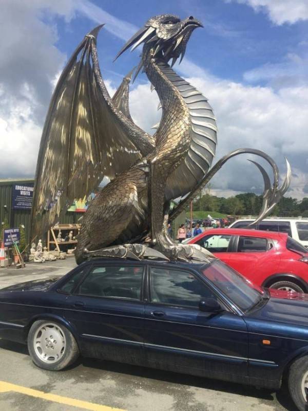 Morning Picdump