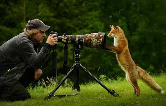 daily picdump 99 pics 7.html - 99 HD Photos | Premium Gallery 2018