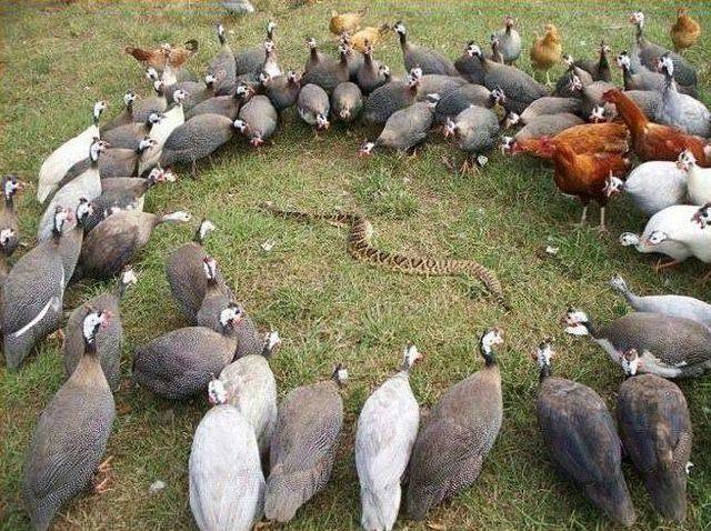 daily picdump 99 pics 7.html - 99 HD Photos | Premium Gallery 2018