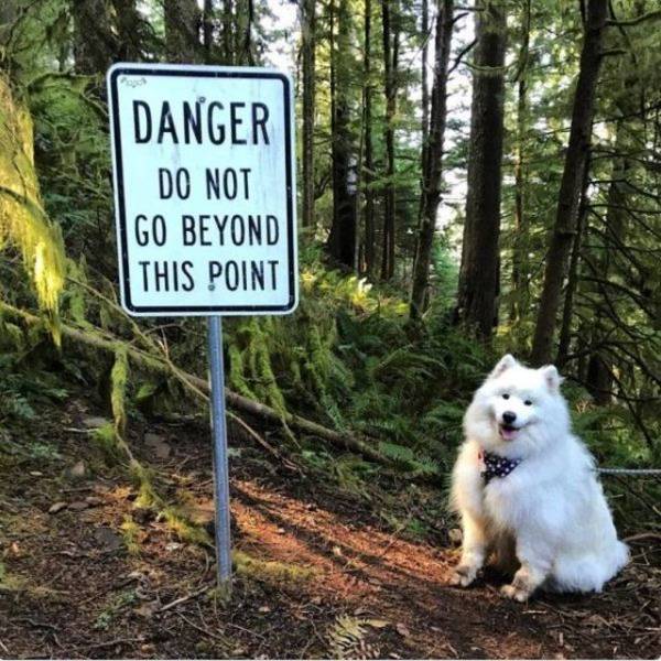 daily picdump 99 pics 7.html - 99 HD Photos | Premium Gallery 2018