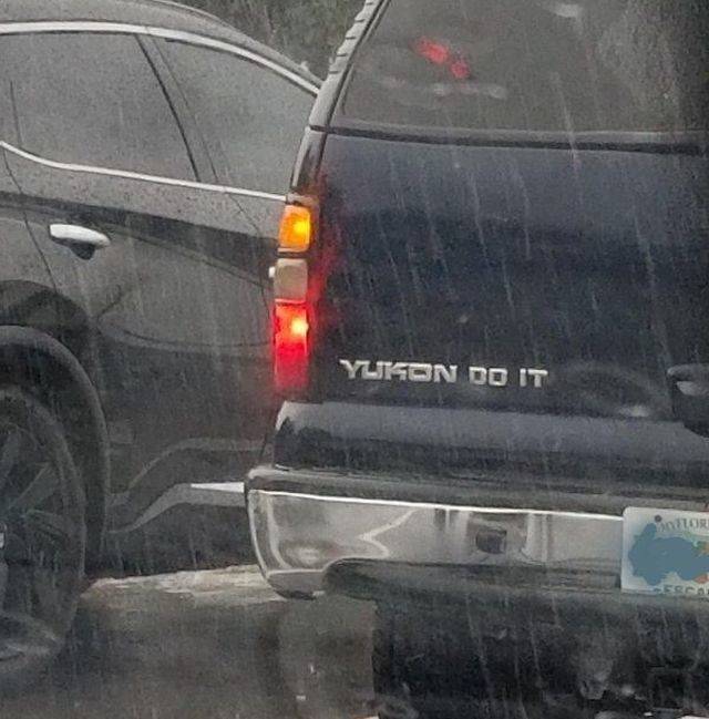Daily Picdump