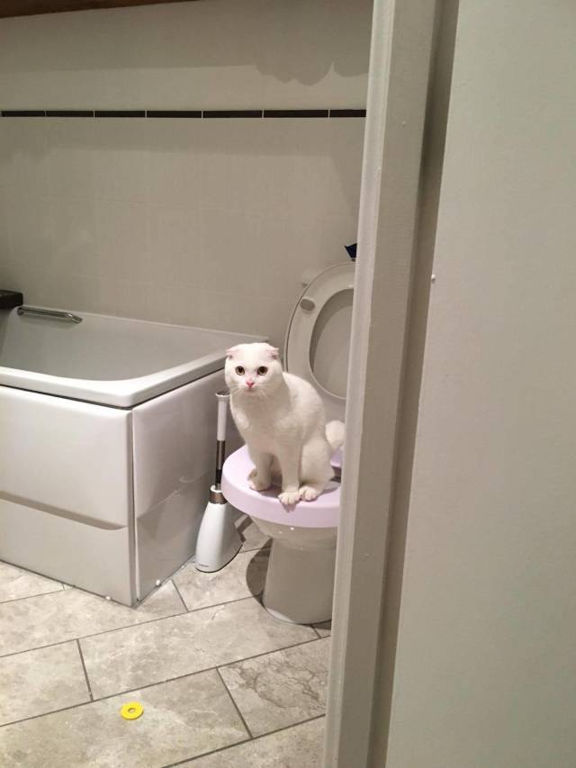 daily picdump 99 pics 7.html - 99 HD Photos | Premium Gallery 2018