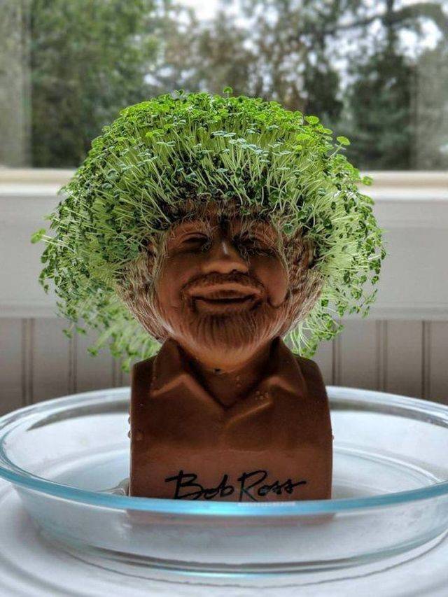 daily picdump 99 pics 7.html - 99 HD Photos | Premium Gallery 2018