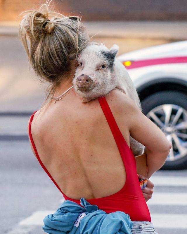 daily picdump 99 pics 7.html - 99 HD Photos | Premium Gallery 2018