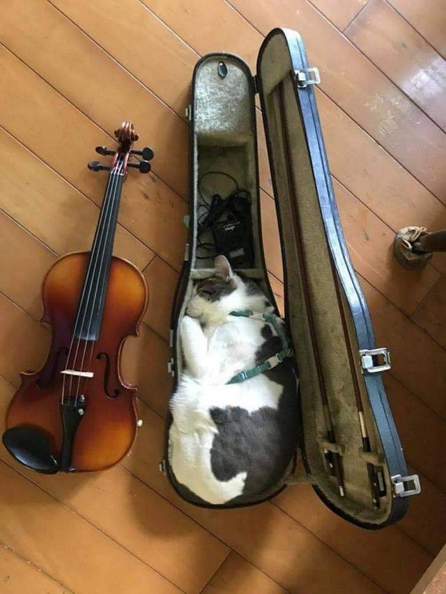 daily picdump 99 pics 7.html - 99 HD Photos | Premium Gallery 2018