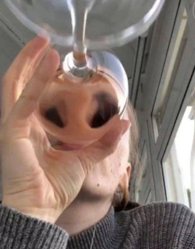 daily picdump 99 pics 7.html - 99 HD Photos | Premium Gallery 2018
