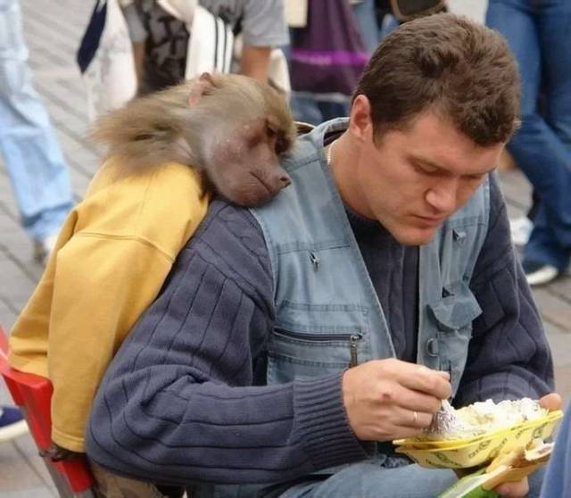 Morning Picdump