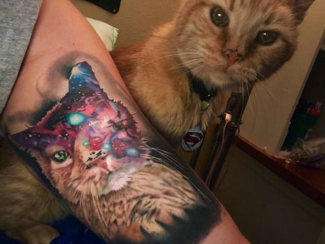 morning picdump 51 pics 22.html - 51 HD Photos | Premium Gallery 2018