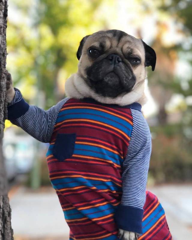 morning picdump 51 pics 22.html - 51 HD Photos | Premium Gallery 2018