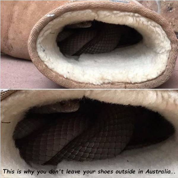 daily picdump 93 pics 5.html - 93 HD Photos | Premium Gallery 2018