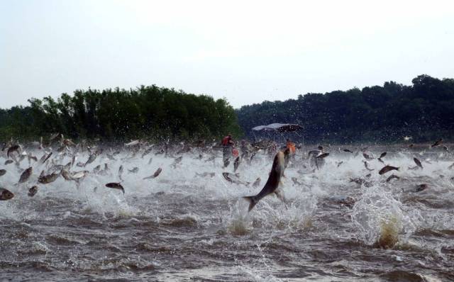 daily picdump 93 pics 5.html - 93 HD Photos | Premium Gallery 2018