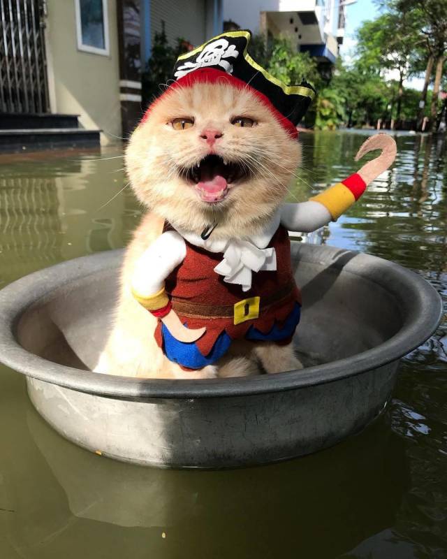 daily picdump 93 pics 5.html - 93 HD Photos | Premium Gallery 2018