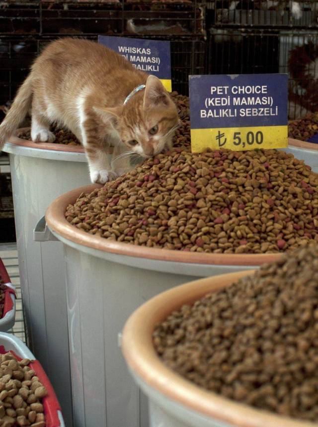 daily picdump 93 pics 5.html - 93 HD Photos | Premium Gallery 2018