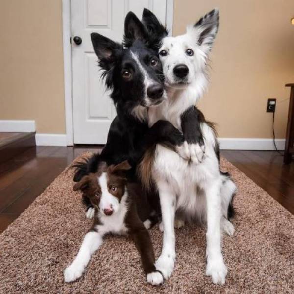 Morning Picdump