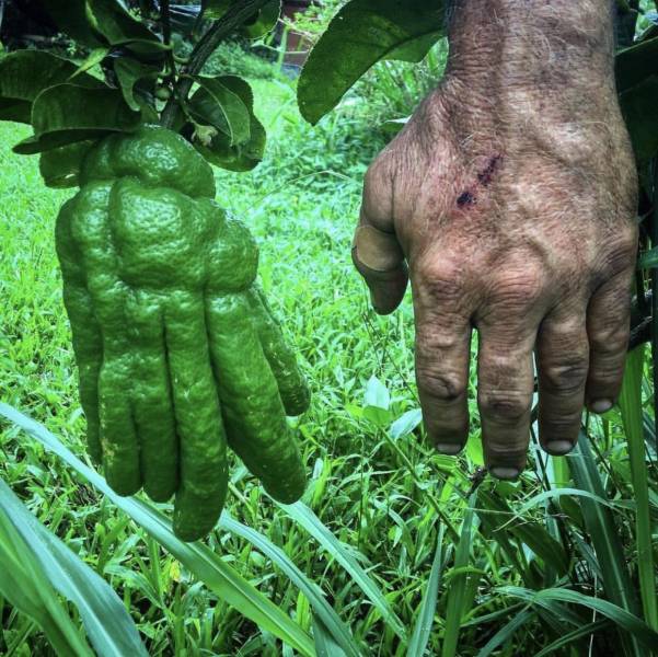 morning picdump 51 pics 4.html - 51 HD Photos | Premium Gallery 2018
