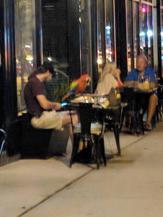 morning picdump 51 pics 4.html - 51 HD Photos | Premium Gallery 2018