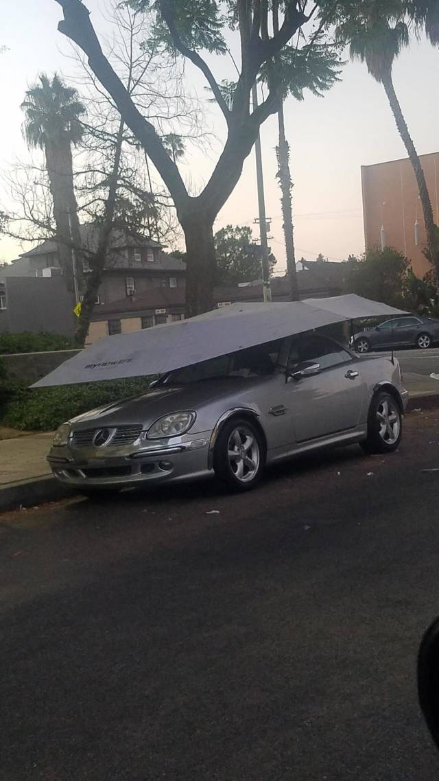 morning picdump 51 pics 4.html - 51 HD Photos | Premium Gallery 2018