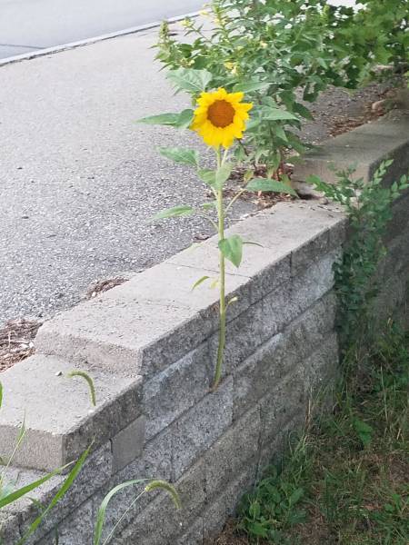 morning picdump 52 pics 2.html - 52 HD Photos | Premium Gallery 2018