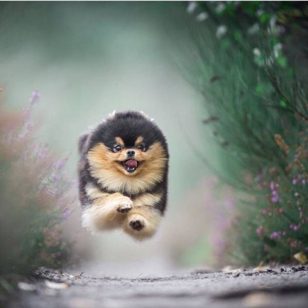 Daily Picdump