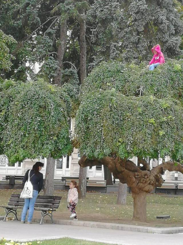 Daily Picdump