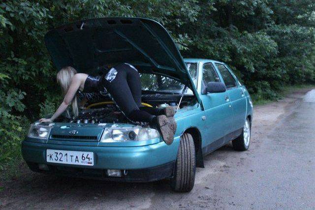 Morning Picdump