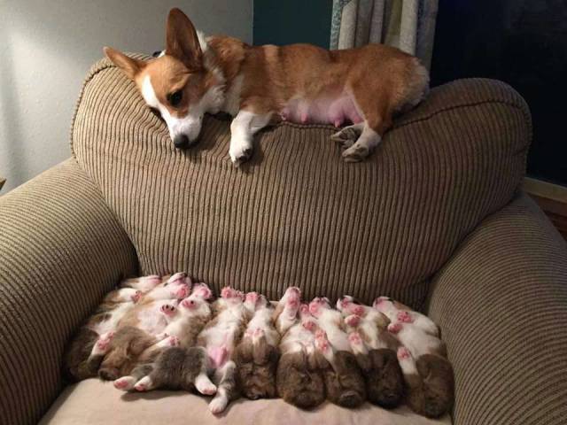Morning Picdump