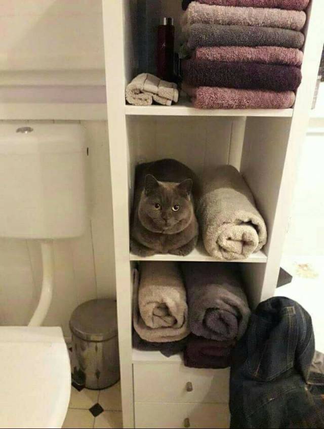 Morning Picdump