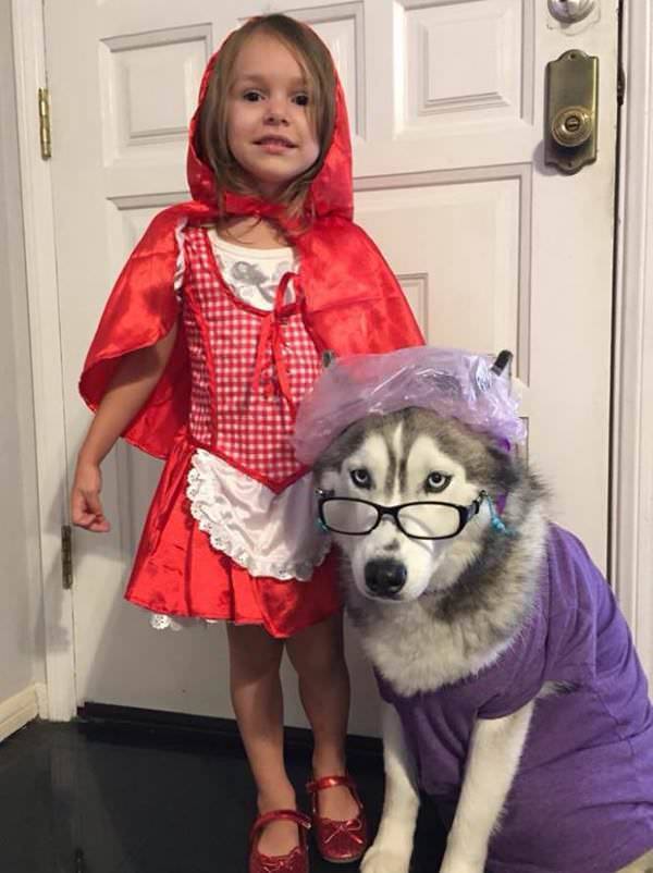 Morning Picdump