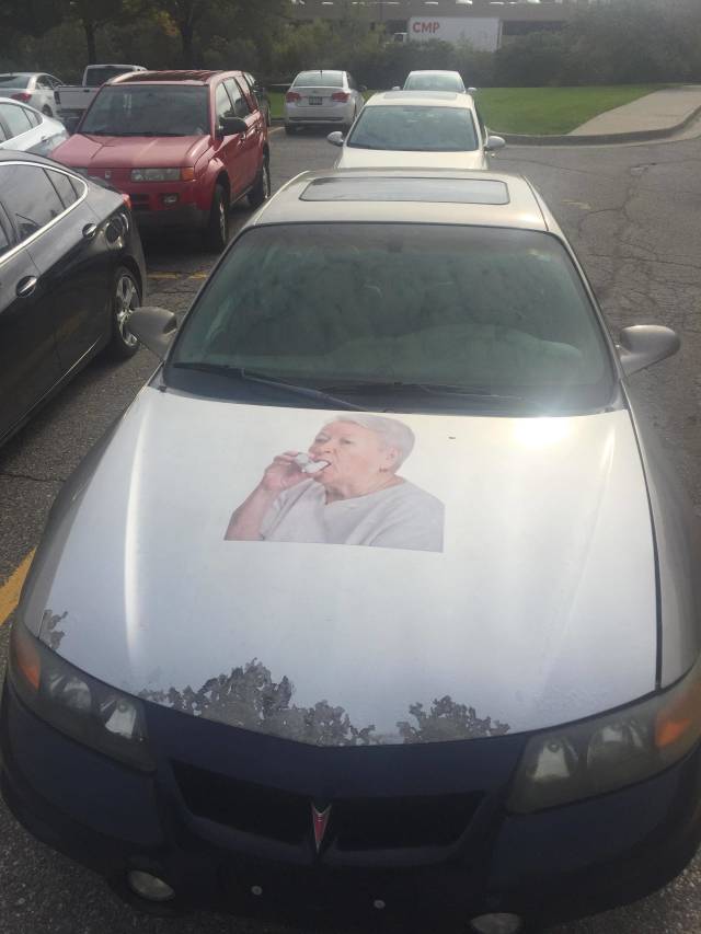 Morning Picdump