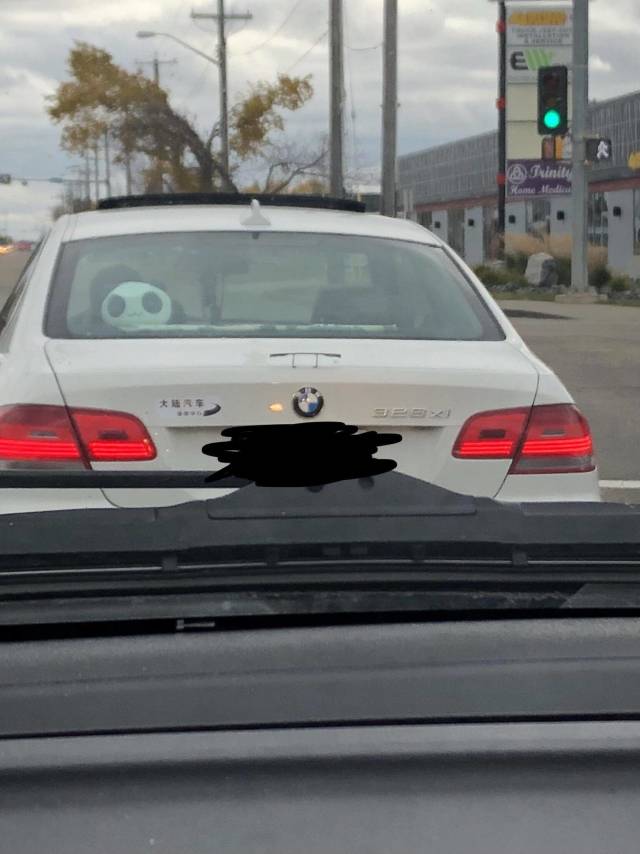 Morning Picdump