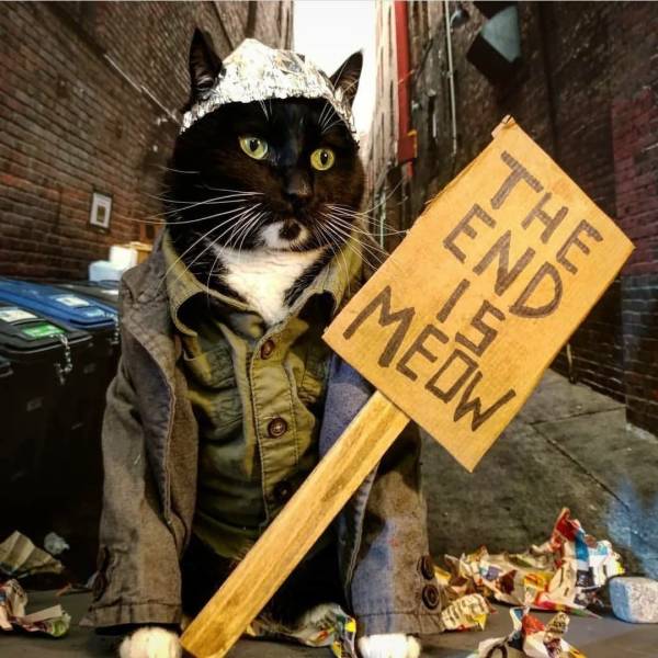 Daily Picdump