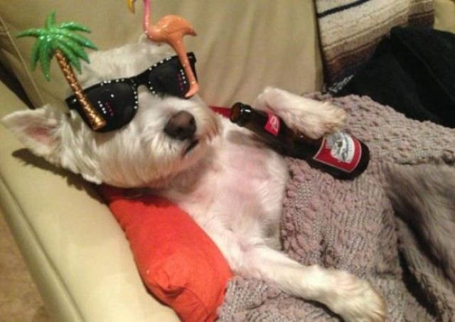 Morning Picdump