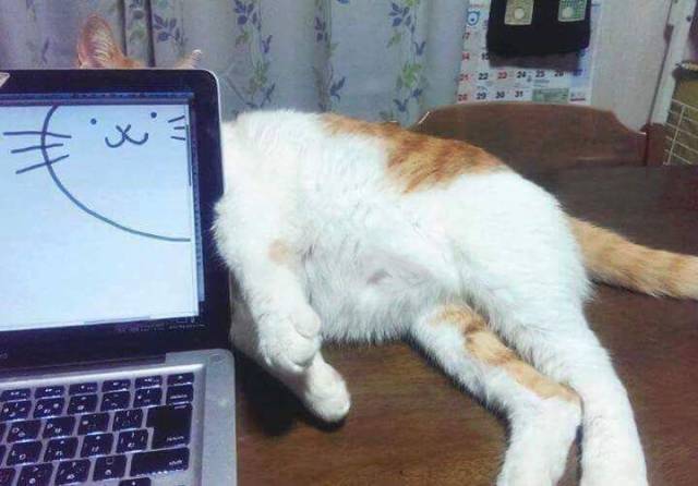 Daily Picdump