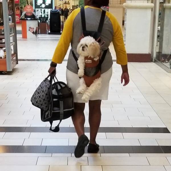 Morning Picdump