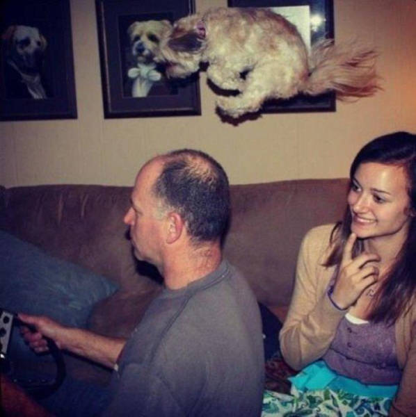 Morning Picdump