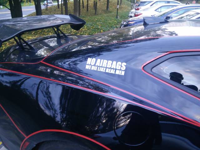 Morning Picdump