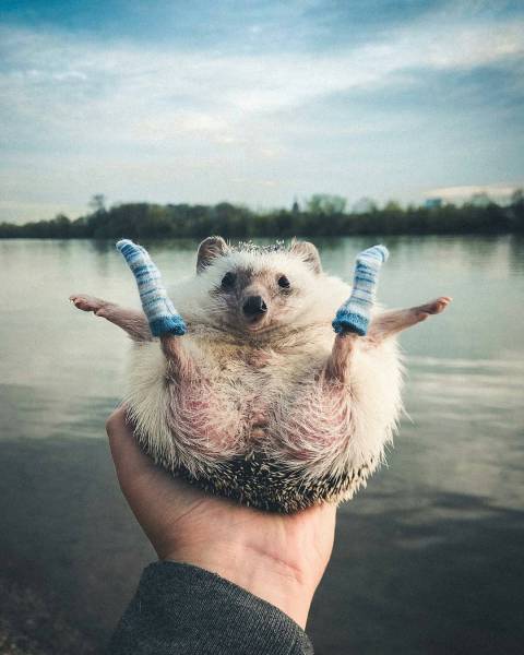 Morning Picdump