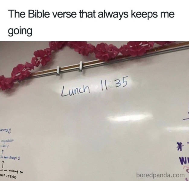 You Know You Like Both Food And Memes