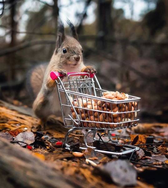 Morning Picdump