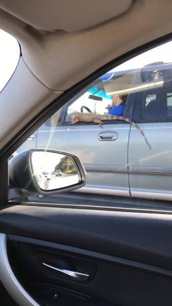 morning picdump 52 pics 7.html - 52 HD Photos | Premium Gallery 2018