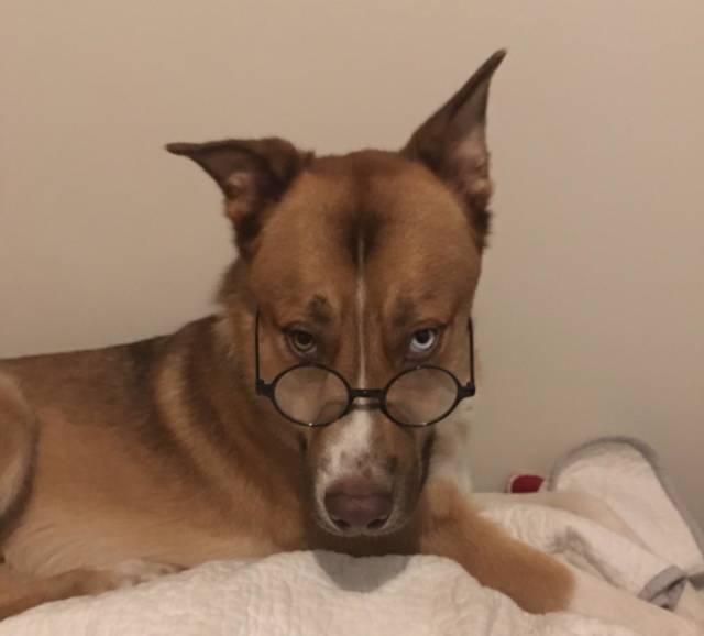 morning picdump 53 pics 8.html - 53 HD Photos | Premium Gallery 2018
