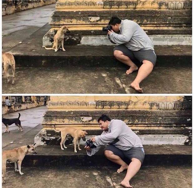Morning Picdump