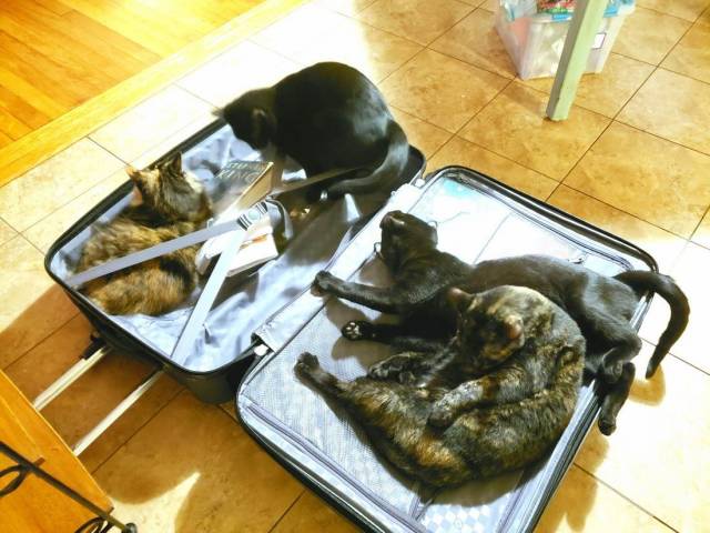 daily picdump 97 pics 2.html - 97 HD Photos | Premium Gallery 2018