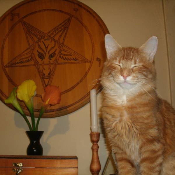 Daily Picdump